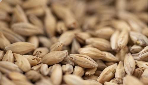  调理脾胃|脾胃病三分靠治，七分靠养！照这方法吃，健脾和胃，专调脾胃问题