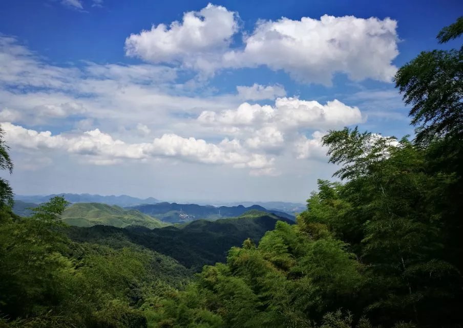 莫干山的网红度假民宿，享田园童趣时光，玩竹林滑梯丨南方民宿