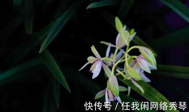 从12月26日开始 运势很旺 会鸿运当头 笑口常开的三大星座 粉紫色 从12月26日开始 运势很旺 会鸿运当头 笑口常开的三大星座 粉紫色