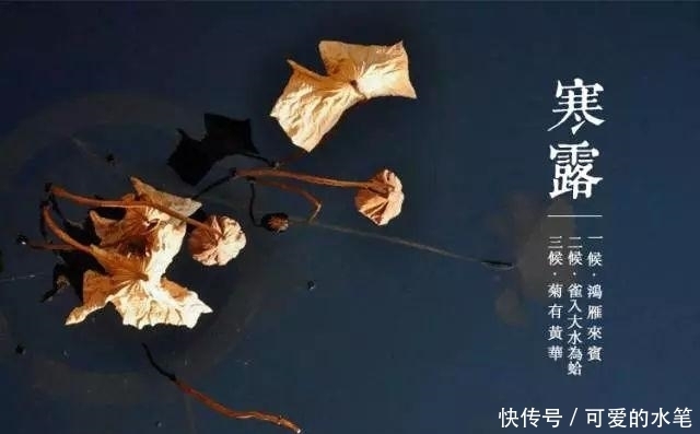 至,农谚寒露过三朝,迟早一齐标啥意思?