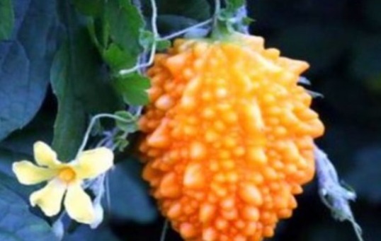 食物|女性坚持吃以下3种食物,美丽由内而发气质优雅,重新体验次青春