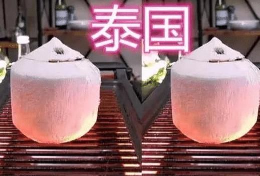 同样是烧烤,中国人烤西瓜,泰国人烤椰子,看到迪拜这才是“壕”