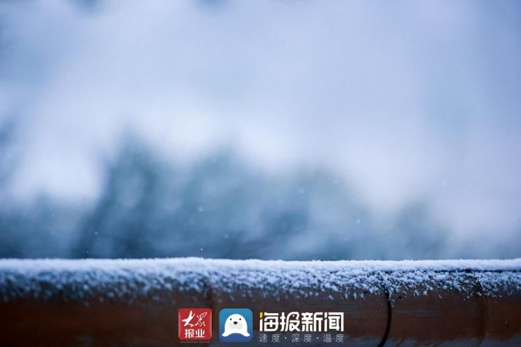 仙境|山东日照：玉树琼枝，银装素裹 雪中大青山开启仙境模式