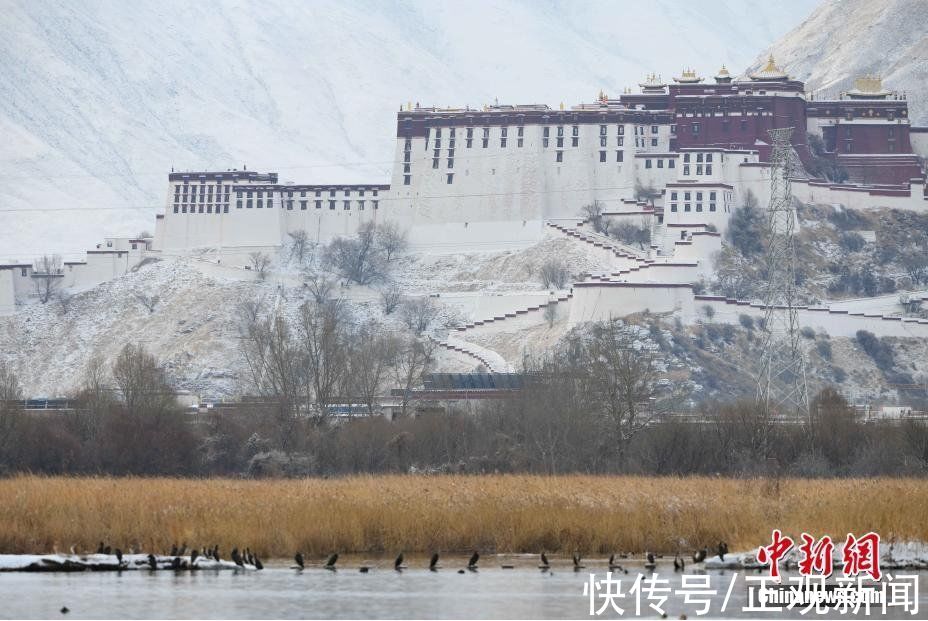 雪景|拉萨雪景美如画