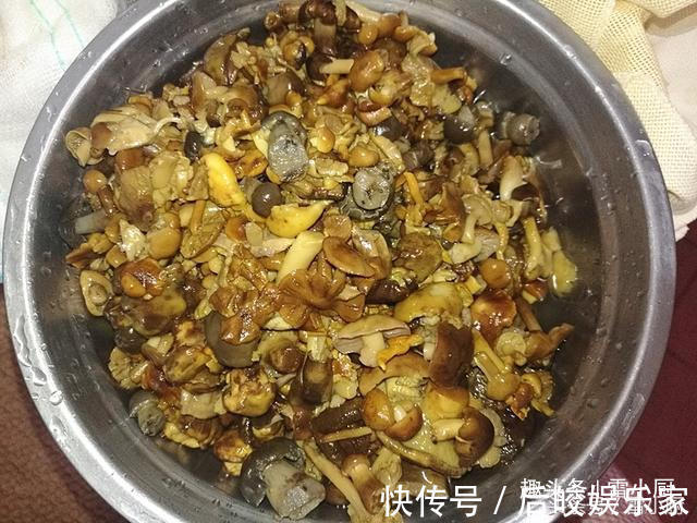 婆婆包的饺子，鲜，软，多汁，咬一口饺子馅汁顺嘴流！