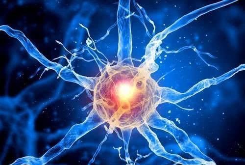 高血压患者|为什么高血压人群要注意心跳次数？心率越慢越长寿吗？说出原因