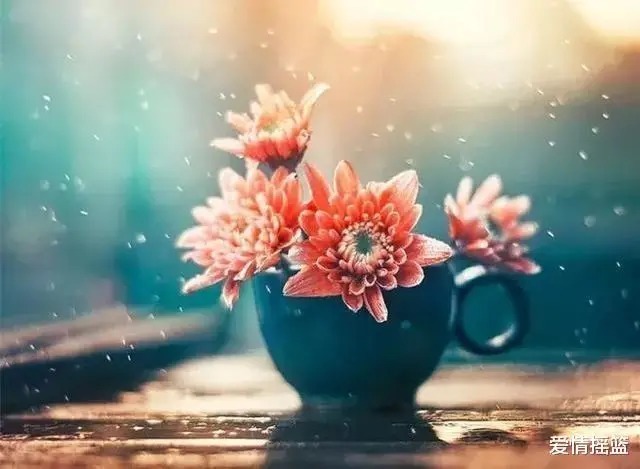 歧途!真正聪明的人,一辈子三不“碰”