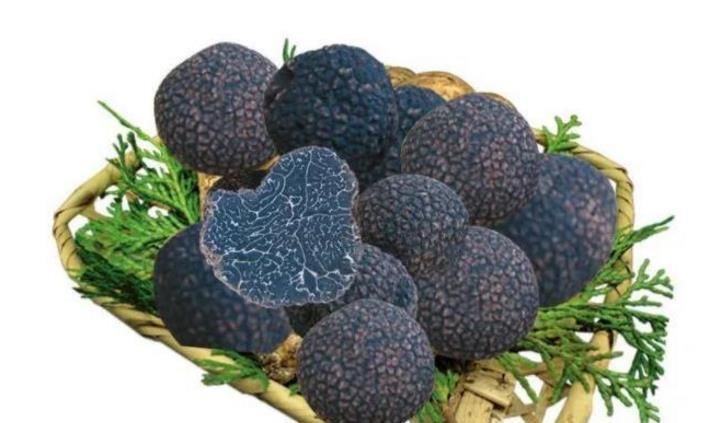 种食材|中国人无人问津的东西,在美国1斤却卖到几千美元,网友我心疼了