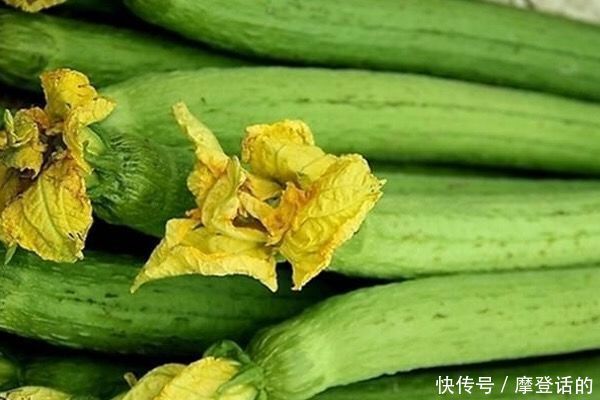 对身体最好的3种食物,补充营养、滋润身体,好处多多