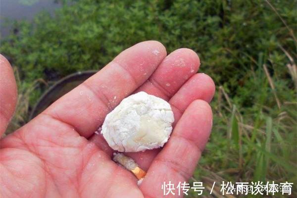 鲫鱼|初秋钓大鲫鱼，就用这四款饵料，小鱼不沾，对大鲫鱼有奇效