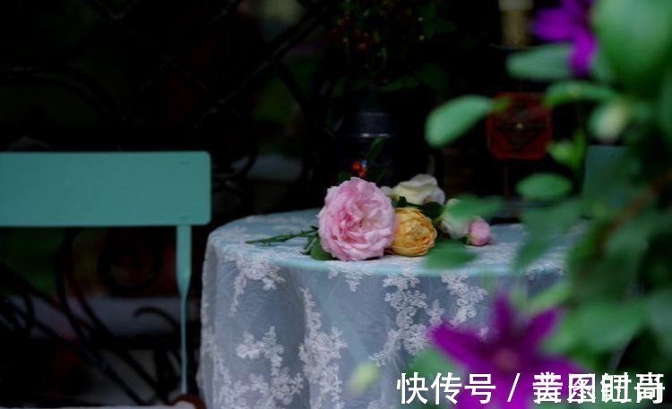 花园|荒废多年的80㎡小院,2年半时间打造成下沉式花园,太漂亮了!