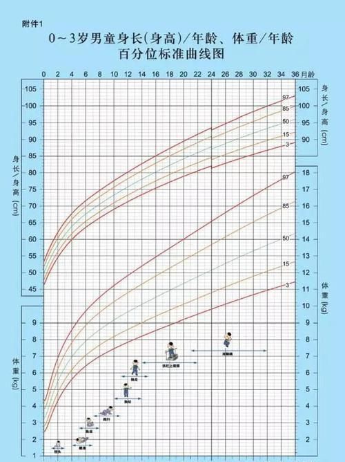 孩子|孩子哪些表现说明正处在猛长期？记住这几点，7个猛长期不错过