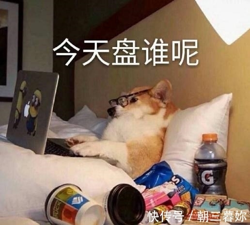 Amazing~这档节目竟被偶练、火箭少女101同时看中！