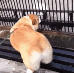 |搞笑GIF:防火防盗防闺蜜 这样的闺蜜不要也罢