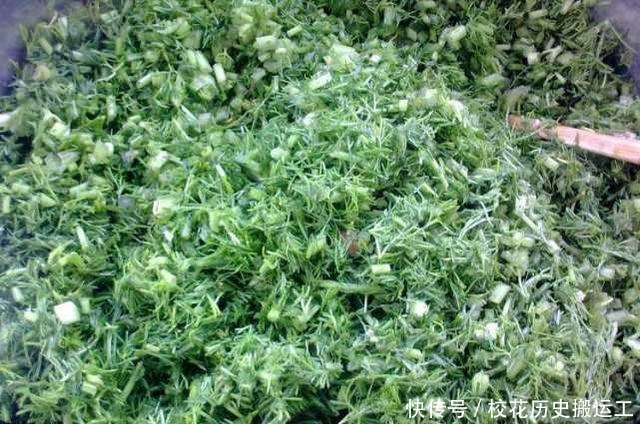 湿气就怕这菜，遇见就买，用来包饺子，比韭菜馅还香，湿气不见了