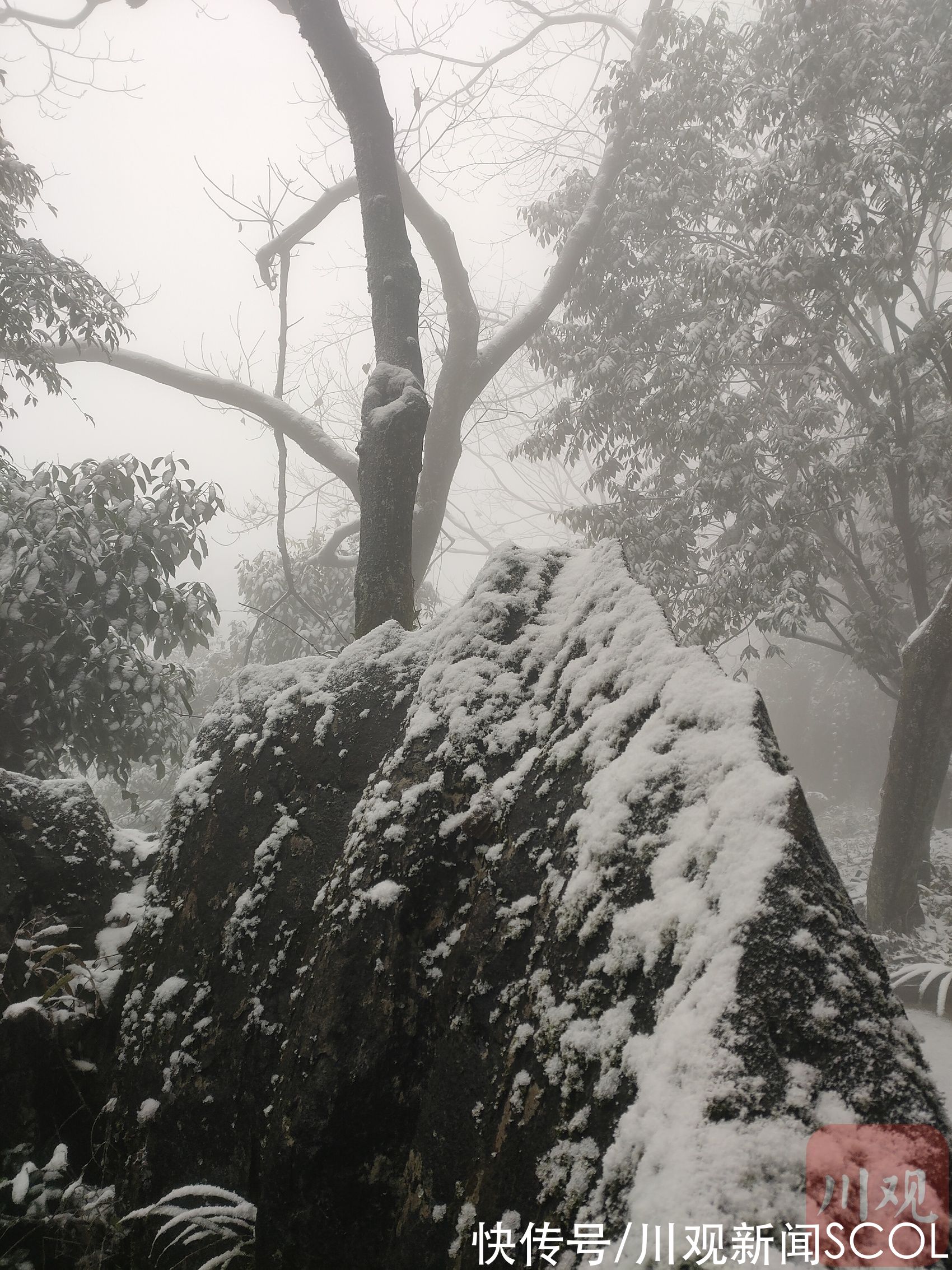 沙湾区|乐山沙湾区美女峰迎来第一场雪