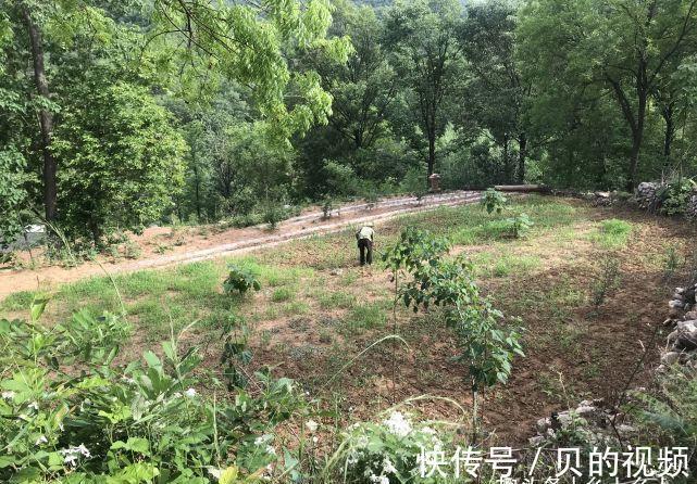 夫妻|俗语:“过了夏至节,夫妻各自歇”,为啥夏至过后,夫妻要各自歇