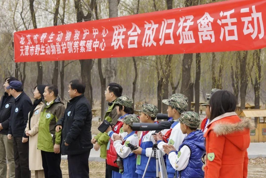 寓教于乐|【志愿服务我先行】小丰营小学：寓教于乐 服务社会