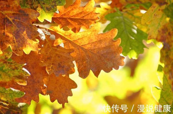 温差|秋分一到，昼夜平分?面对这5种心血管疾病，劝你秋天做好4件事