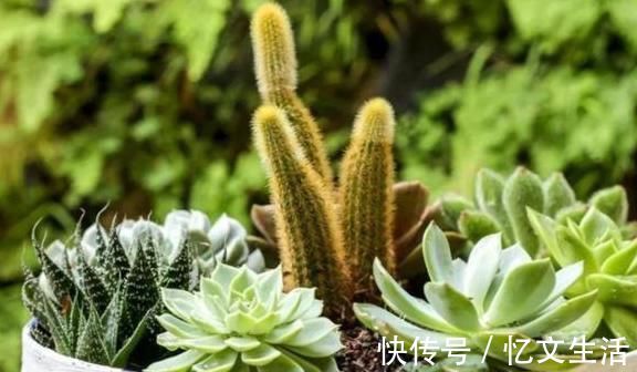 家里这5样东西用旧了别扔，教你小妙招，让它“变废为宝”还省钱