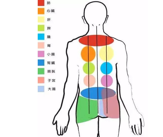 颈肩腰腿痛|背部按摩好处太多了，建议每天按一按，身体越来越健康