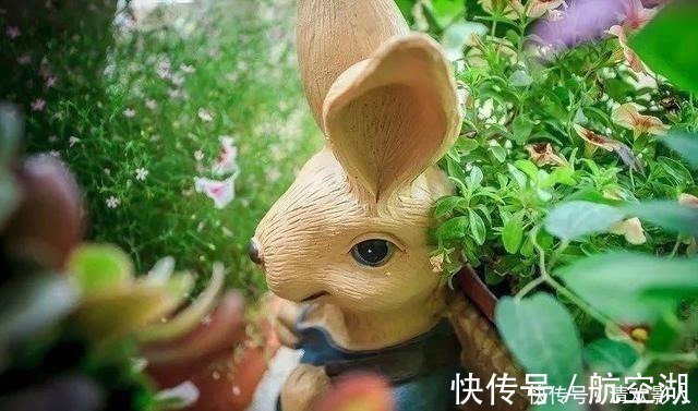 造园|7㎡迷你“阳台造园”小阳台这样布置,也能美成的花园!