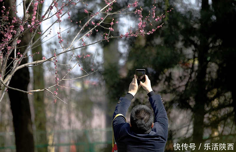 中年|百花争春时节，在西安，这些浪漫的事情一安排 ，想怎么嗨都行