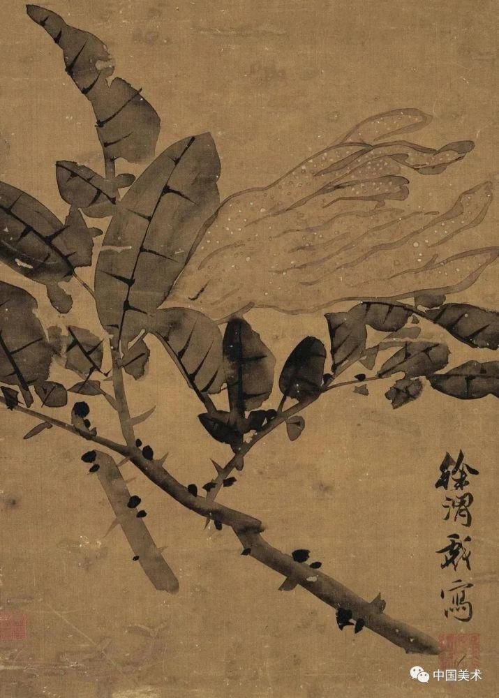  戏剧|好文一篇：徐渭——画在纸上的戏剧