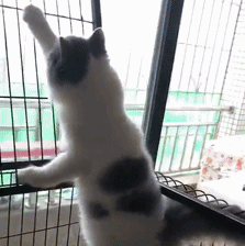 |搞笑段子王：哥们说话这么贱，就不怕姑娘抽你吗？