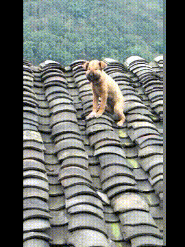 |幽默段子:为什么要在晚上认识,白天我能认识啊?