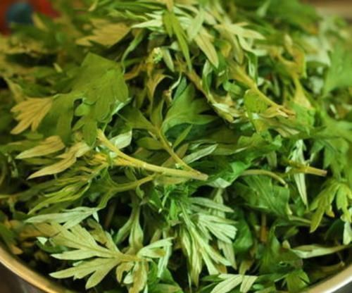 湿疹|艾叶泡水实在太厉害了，坚持一周，好处主动找上门，早知早受益