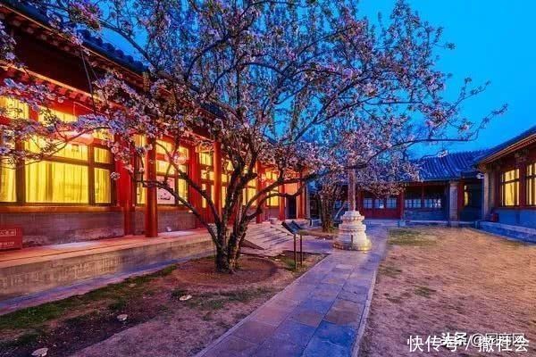 院子里种树有大讲究，这些树寓意好，可提升庭院灵气