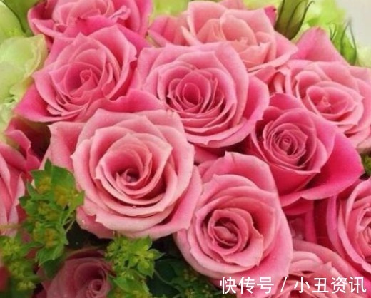 新手养花,不如养盆花中精品“泰姬”,花开似美姬,妖娆美丽