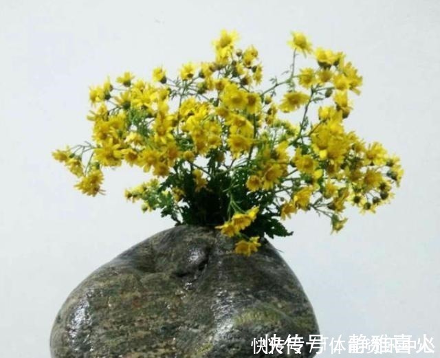 切割机|花盆买不起，自己动手做，好看又实用！花盆买不起，自己动手做，好看又实用！