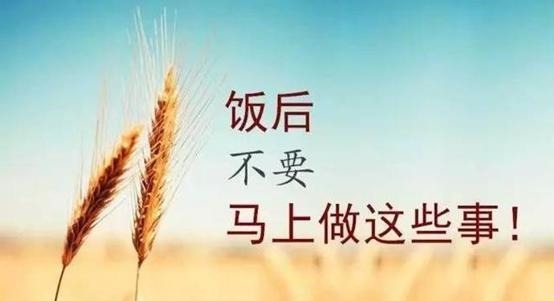 浓茶|饭后时间很重要,别任意挥霍,尤其是不能做5件事