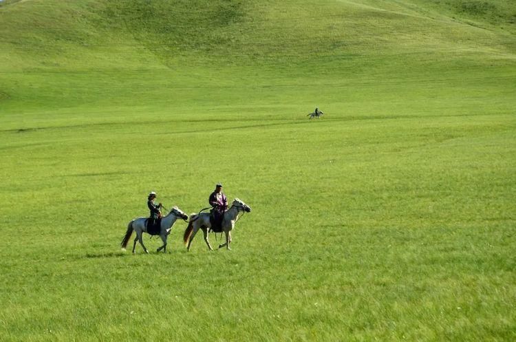 带妈妈去内蒙旅行，3人8天花费8400元，用最少的钱看最美的风景