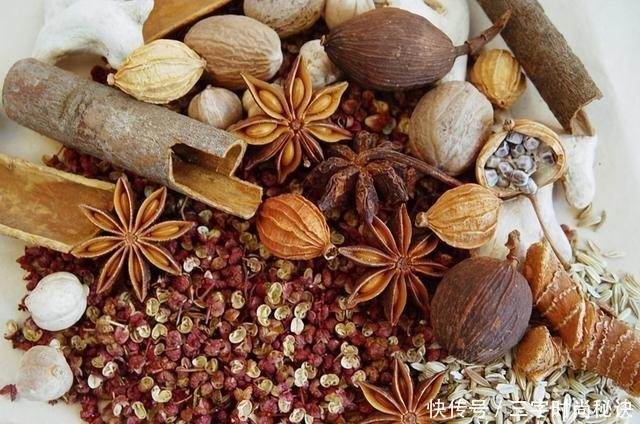 卤肉香料“四大金刚”,新手一定牢记,去异增香,做对了事半功倍