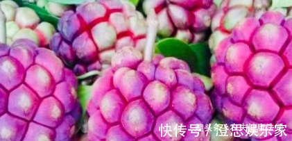 果果|女性不想子宫早衰,多食此“救命果果”,保护子宫,排出子宫污血