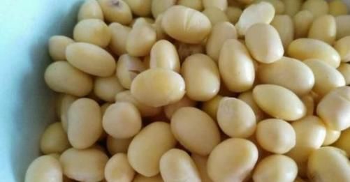 豆浆好、豆奶棒还是牛奶更佳？喝了30多年，专家竟给出此答案！