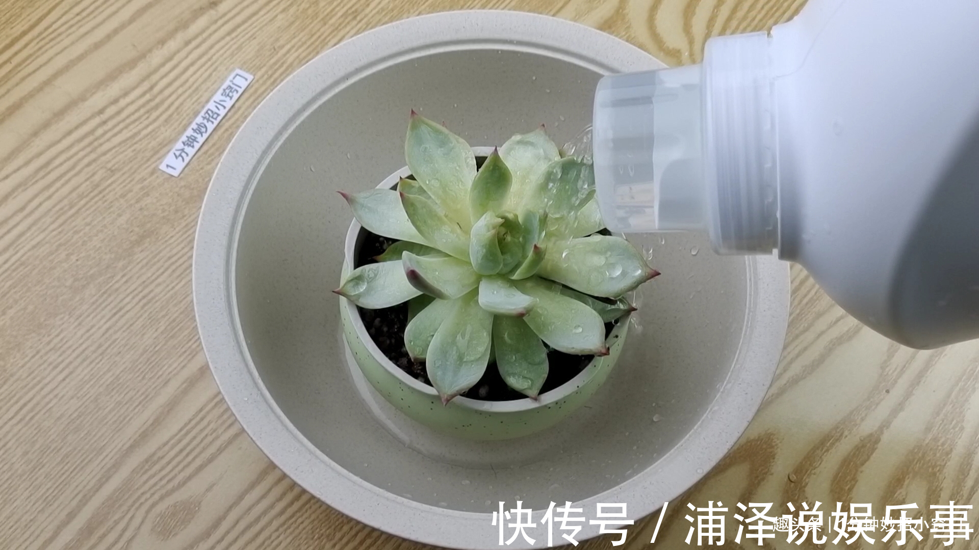 厨房|洗衣液的瓶子是个宝!放在厨房可以解决不少家庭的烦恼!太实用啦