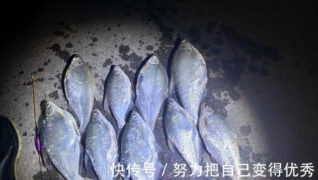 技巧|野钓鳊鱼时的实践技巧,老钓友详细讲解,非常实用