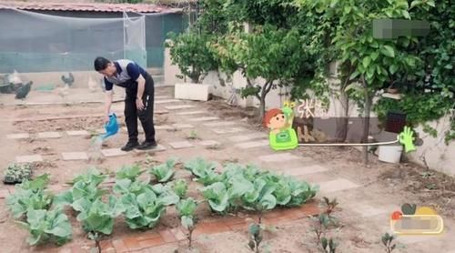 做家务的男人2|张继科家别墅接地气,拿院子养鸡种菜,家里放球桌,跟住农村一样