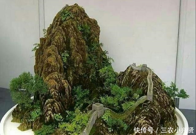 怎样才能修饰出更显自然的山水盆景