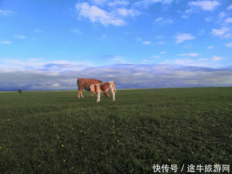 美丽的锡林郭勒大草原，最纯正的蒙元文化，最原始的游牧牧场