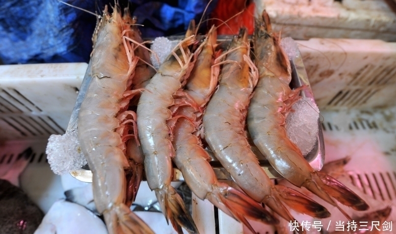 保存大虾不能直接冻冰箱老渔民教你3招,1年不坏,和鲜虾一样