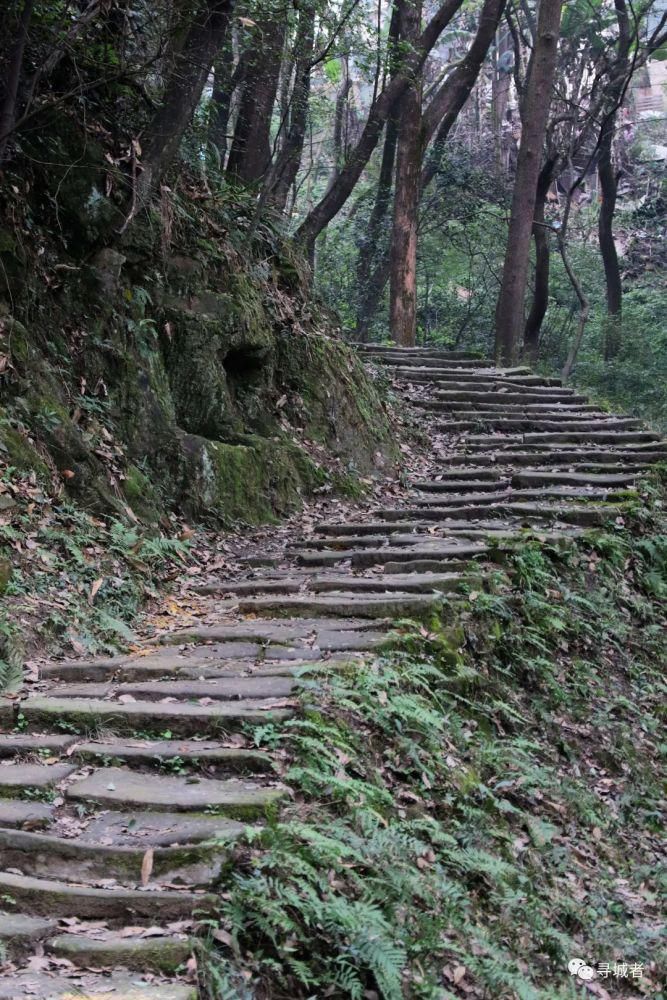 更喜南山千倾野，卅公里后尽开颜