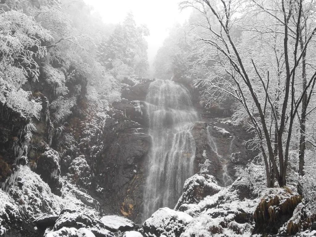 地方|汶川下雪了！这些地方，你最想去哪个？