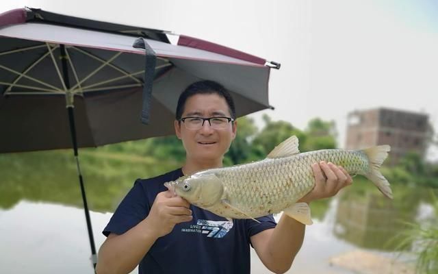 钓鱼|夏天下风口真的好钓鱼，只是要找对位置，还要用对方法