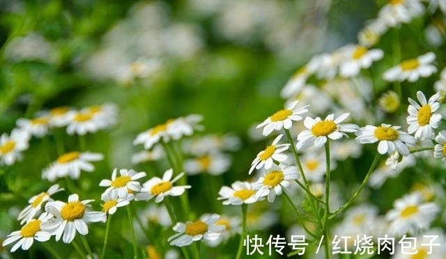 旧爱|思念不减,良缘天赐,真爱降临,不再犹豫,与旧爱重温从前