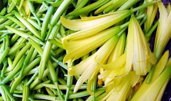 养肝补血|女性到了中年常吃四种食物,养肝补血,排毒清肠,提高身体抵抗力